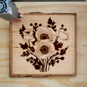 88680_wood-laser-1.jpg