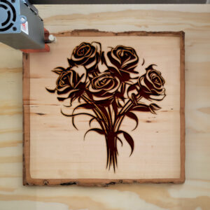 88688_wood-laser-1.jpg