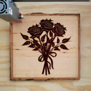 88690_wood-laser-1.jpg