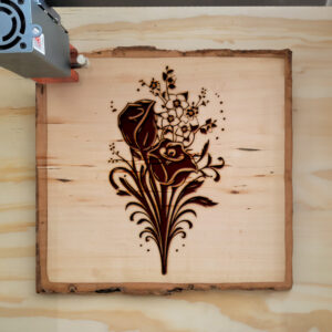 88700_wood-laser-1.jpg