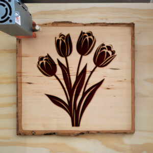 88769_wood-laser-1.jpg