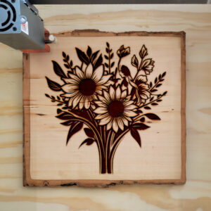 88775_wood-laser-1.jpg