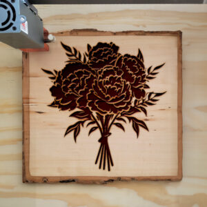 88789_wood-laser-1.jpg