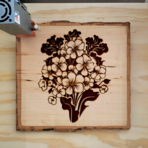 88809_wood-laser-1.jpg