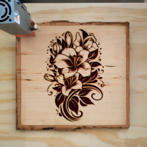 88825_wood-laser-1.jpg