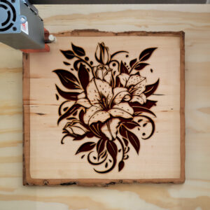 88827_wood-laser-1.jpg