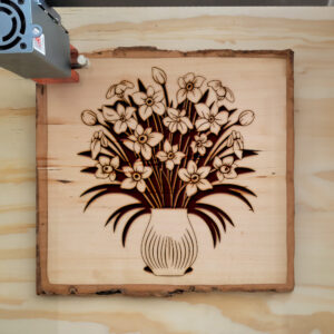 88845_wood-laser-1.jpg
