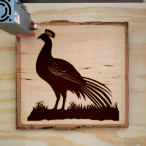 90900_wood-laser-1.jpg