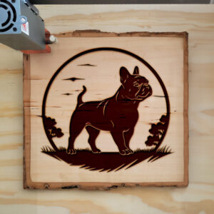 90914_wood-laser-1.jpg
