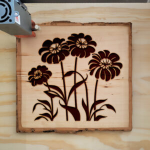 90994_wood-laser-1.jpg