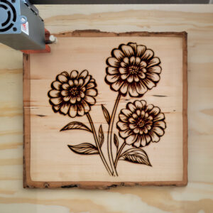 91016_wood-laser-1.jpg