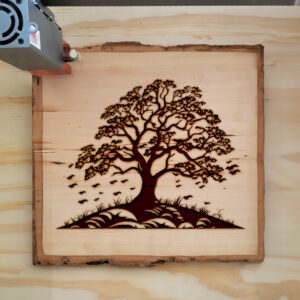 91032_wood-laser-1.jpg
