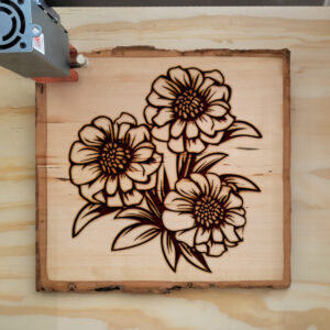 91038_wood-laser-1.jpg