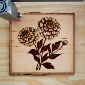 91040_wood-laser-1.jpg