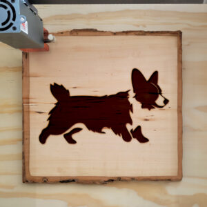 91056_wood-laser-1.jpg