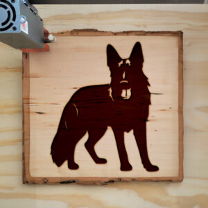 91112_wood-laser-1.jpg