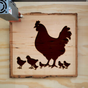 91136_wood-laser-1.jpg