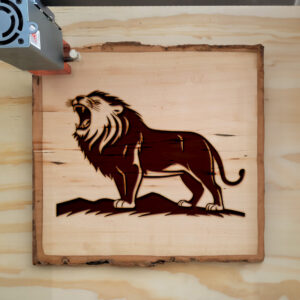 91160_wood-laser-1.jpg