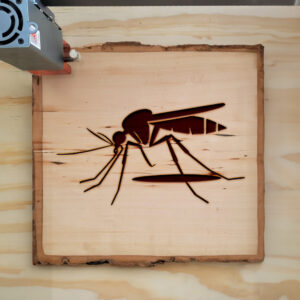 91186_wood-laser-1.jpg