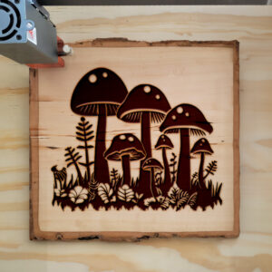 91204_wood-laser-1.jpg