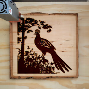 91210_wood-laser-1.jpg
