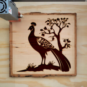 91212_wood-laser-1.jpg