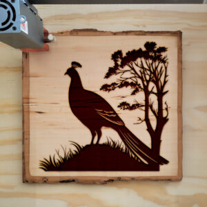 91214_wood-laser-1.jpg
