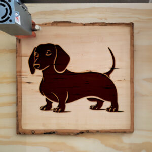91222_wood-laser-1.jpg