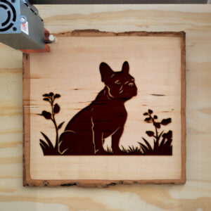 91224_wood-laser-1.jpg