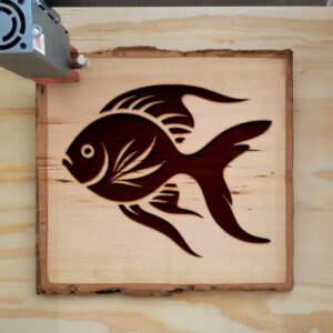 91251_wood-laser-1.jpg