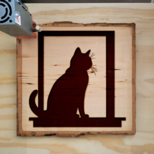 91255_wood-laser-1.jpg