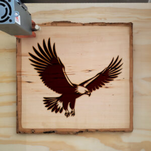 91263_wood-laser-1.jpg