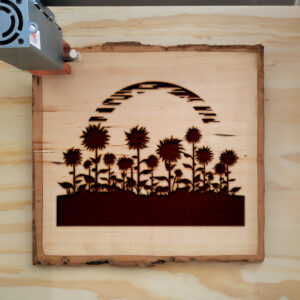 91273_wood-laser-1.jpg
