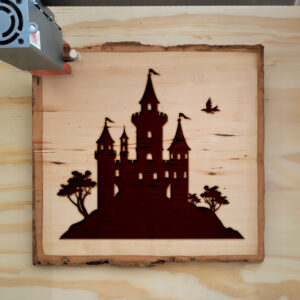 91295_wood-laser-1.jpg