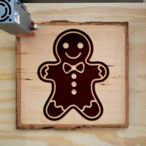92307_wood-laser-1.jpg