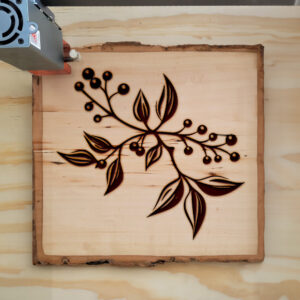 92353_wood-laser-1.jpg