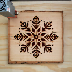 92423_wood-laser-1.jpg