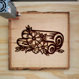 92455_wood-laser-1.jpg