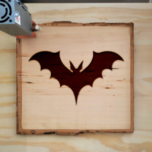 92467_wood-laser-1.jpg