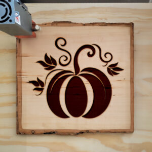 92510_wood-laser-1.jpg