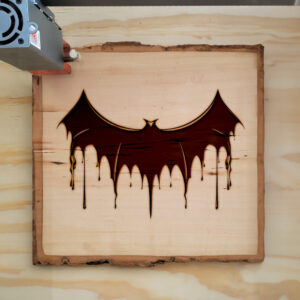 92531_wood-laser-1.jpg