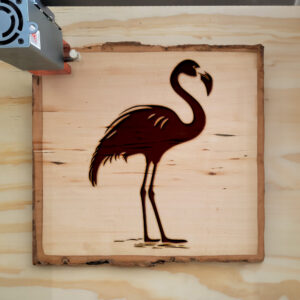 93774_wood-laser-1.jpg