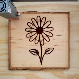93798_wood-laser-1.jpg