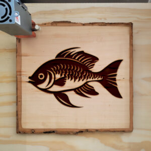 93806_wood-laser-1.jpg