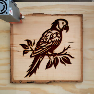 93840_wood-laser-1.jpg