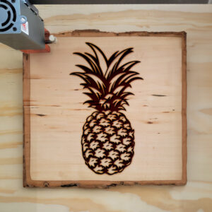 93842_wood-laser-1.jpg