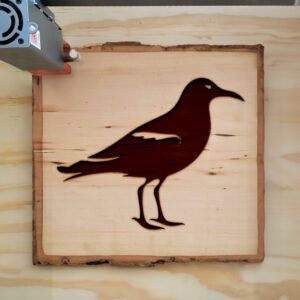 93848_wood-laser-1.jpg