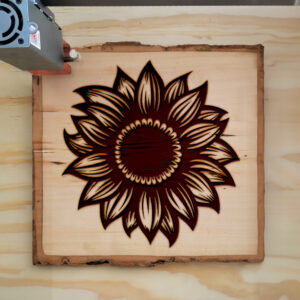 93876_wood-laser-1.jpg