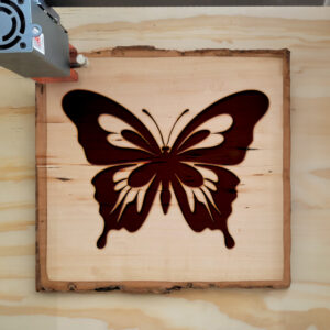 93912_wood-laser-1-1.jpg