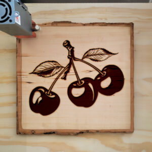 93916_wood-laser-1.jpg